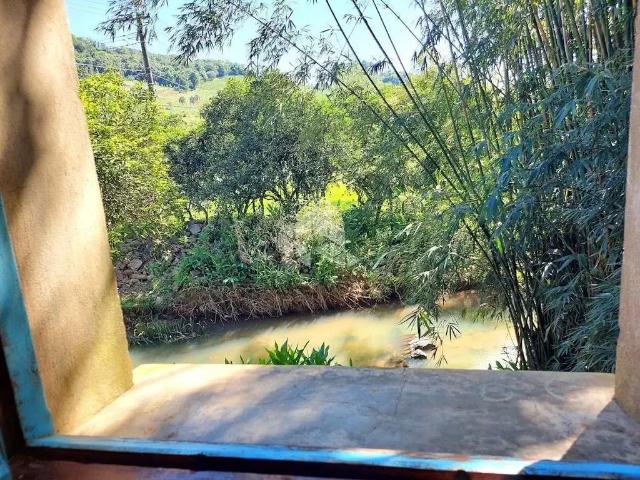 Sítio / Chácara para Venda em Bento Gonçalves/RS Vale dos Vinhedos Distrito