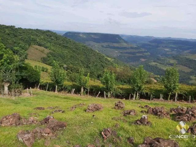 Sítio / Chácara para Venda em Bento Gonçalves/RS Zona Rural