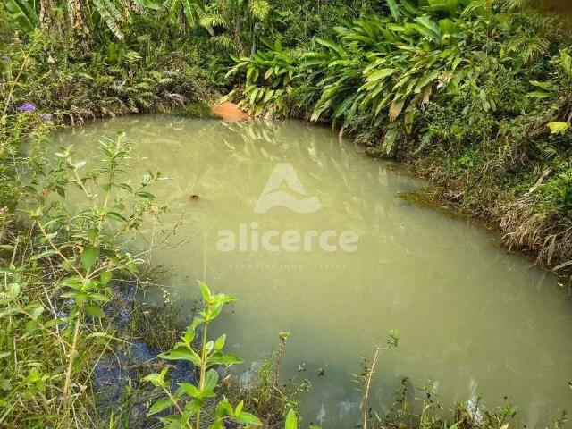 Sítio / Chácara para Venda em Biguaçu/SC Área Rural de Biguaçu