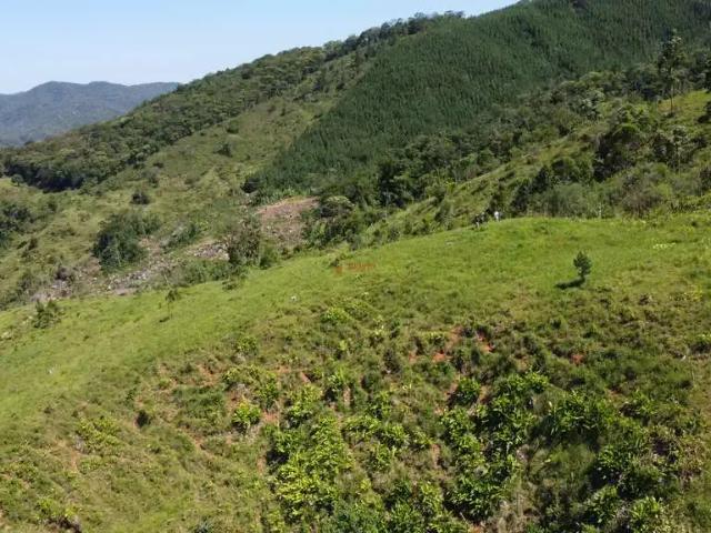 Sítio / Chácara para Venda em Biguaçu/SC Canudos