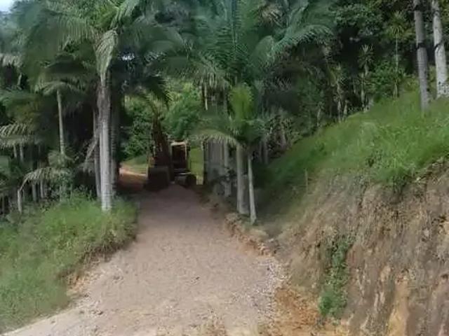 Sítio / Chácara para Venda em Biguaçu/SC Sorocaba do Sul