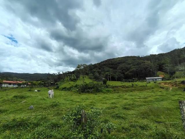 Sítio / Chácara para Venda em Biguaçu/SC Três Riachos