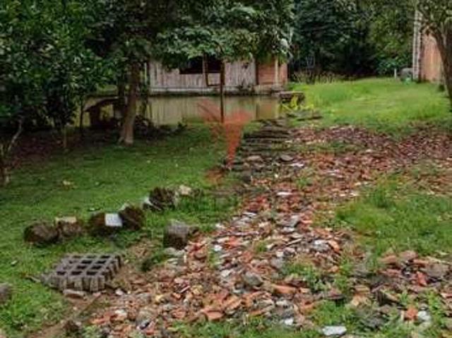 Sítio / Chácara para Venda em Blumenau/SC Velha Grande 5 Quartos