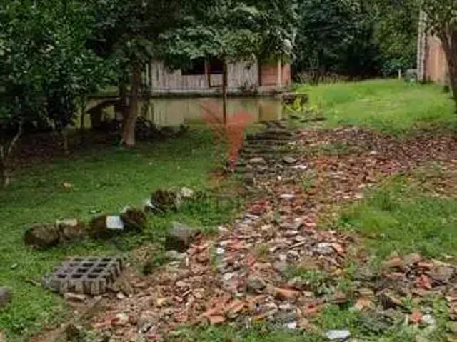 Sítio / Chácara para Venda em Blumenau/SC Velha Grande 5 Quartos