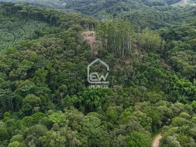 Sítio / Chácara para Venda em Blumenau/SC Vila Itoupava 1 Quartos
