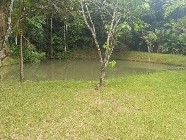Sítio / Chácara para Venda em Blumenau/SC Vila Itoupava 2 Quartos