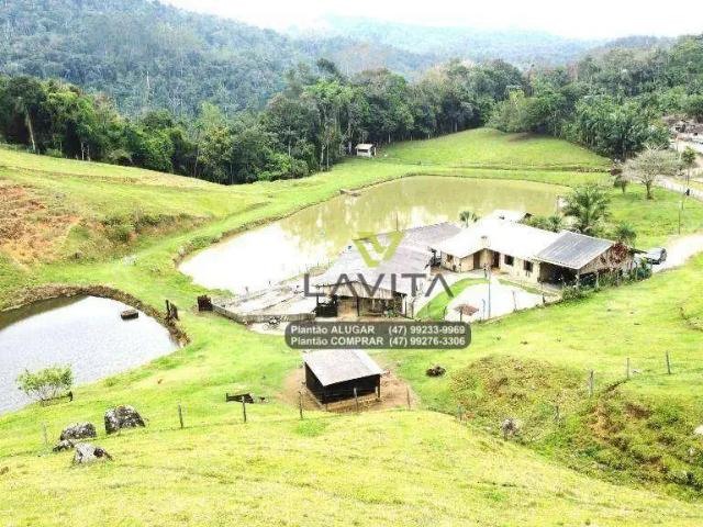Sítio / Chácara para Venda em Blumenau/SC Vila Itoupava 3 Quartos