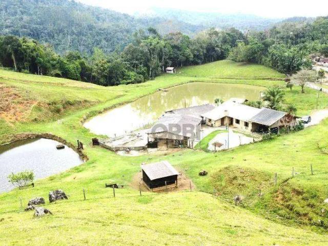 Sítio / Chácara para Venda em Blumenau/SC Vila Itoupava 3 Quartos