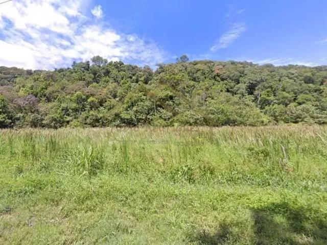 Sítio / Chácara para Venda em Blumenau/SC Vila Itoupava