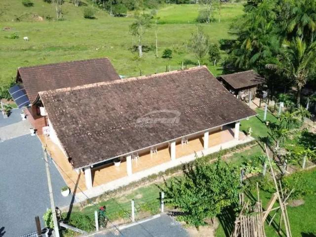 Sítio / Chácara para Venda em Blumenau/SC Fidélis 3 Quartos