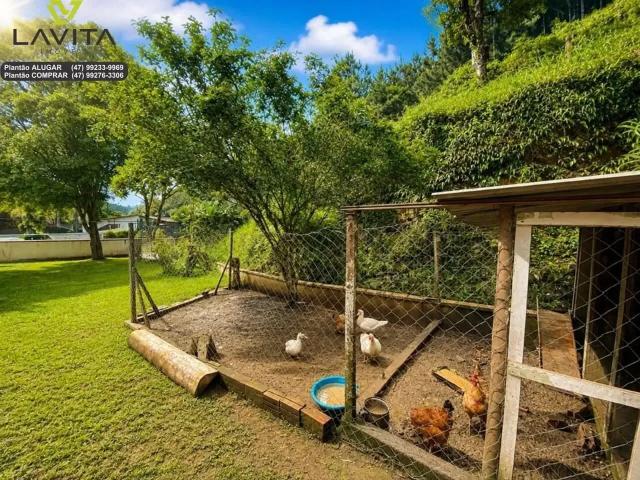 Sítio / Chácara para Venda em Blumenau/SC Ribeirão Fresco 3 Quartos
