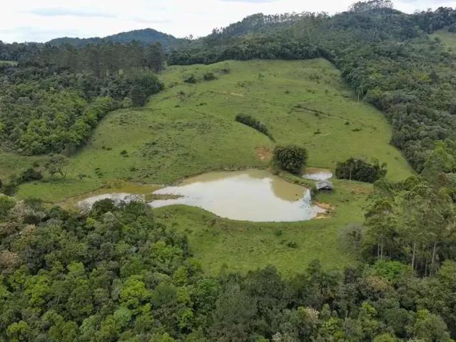 Sítio / Chácara para Venda em Braço do Trombudo/SC Águas Sulfurosas