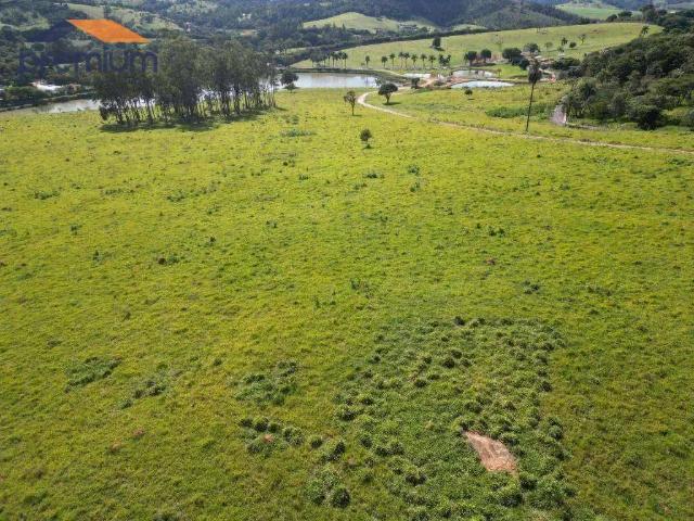 Sítio / Chácara para Venda em Bragança Paulista/SP Guaripocaba 3 Quartos
