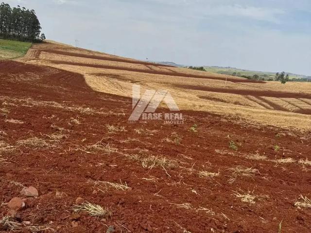 Sítio / Chácara para Venda em Braganey/PR Zona Rural