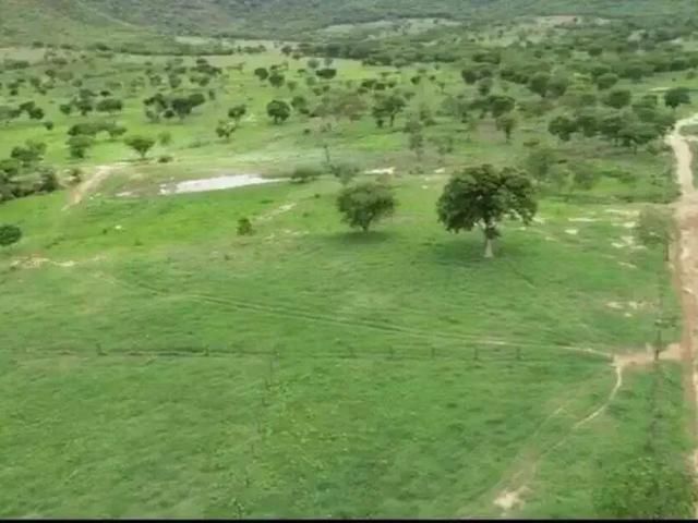 Sítio / Chácara para Venda em Brasilândia de Minas/MG Zona Rural