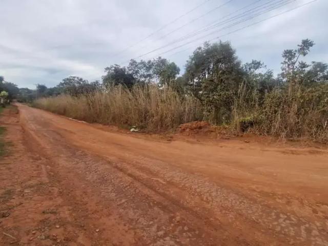 Sítio / Chácara para Venda em Brasília/DF ALTIPLANO LESTE