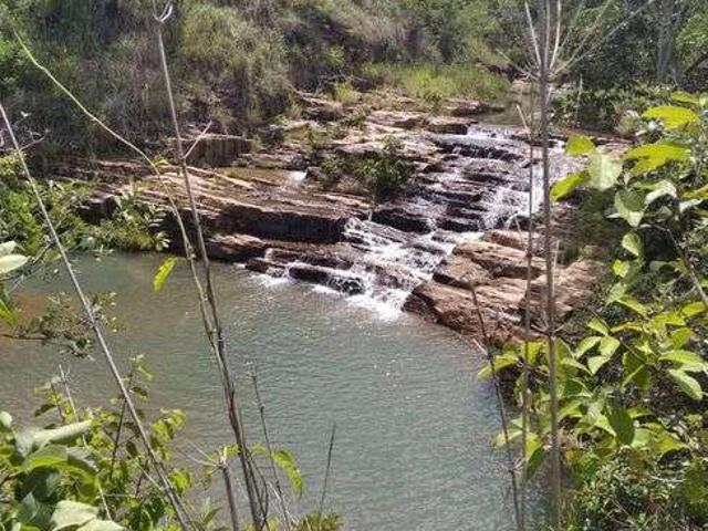 Sítio / Chácara para Venda em Brasília/DF Área Rural de Brazlândia