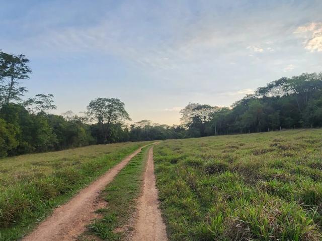 Sítio / Chácara para Venda em Brasília/DF Área Rural de Ceilândia 3 Quartos