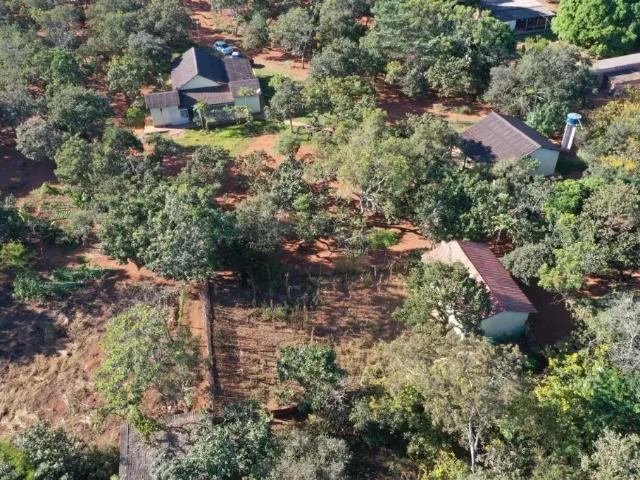 Sítio / Chácara para Venda em Brasília/DF Área Rural de Planaltina