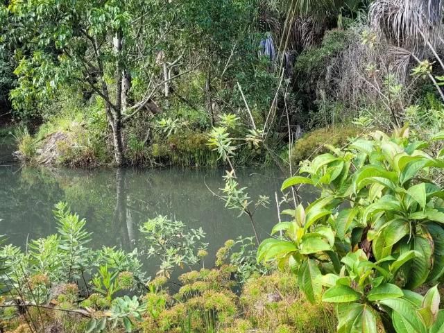 Sítio / Chácara para Venda em Brasília/DF Área Rural de Sobradinho