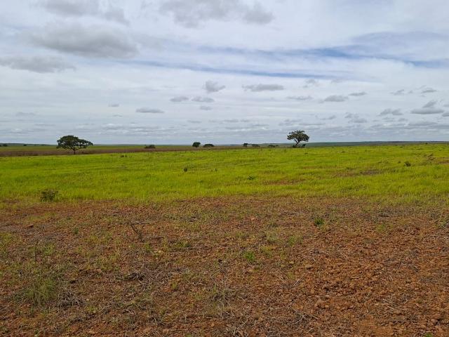 Sítio / Chácara para Venda em Brasília/DF Área Rural do Paranoá