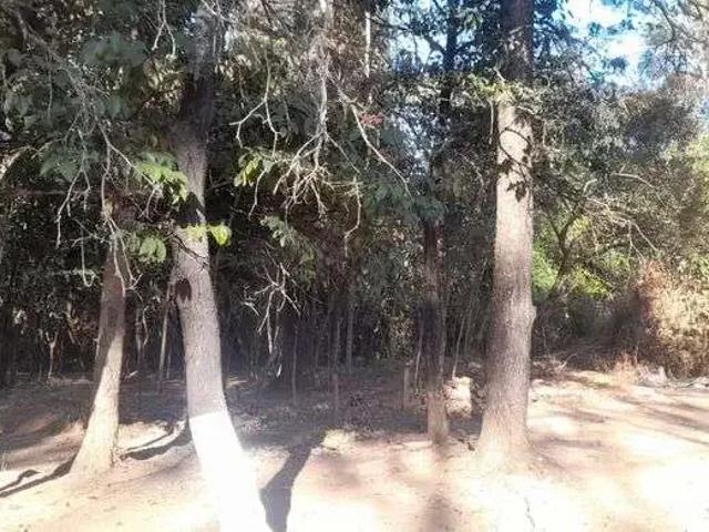 Sítio / Chácara para Venda em Brasília/DF Área Rural do Paranoá 2 Quartos