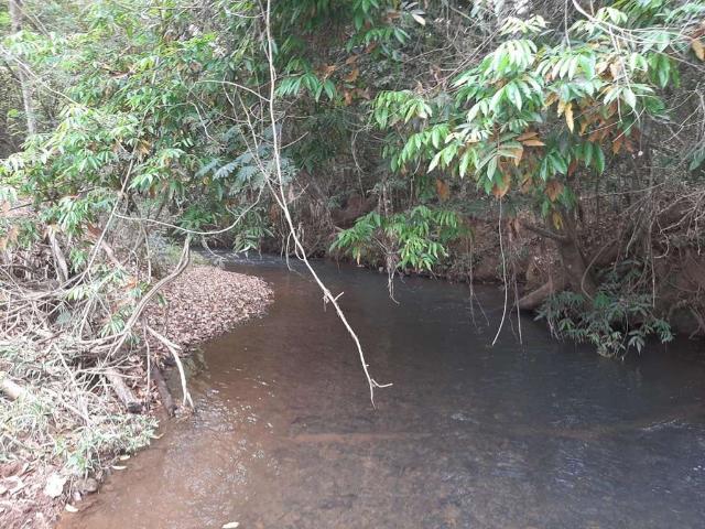 Sítio / Chácara para Venda em Brasília/DF Jardim Botânico Lago Sul