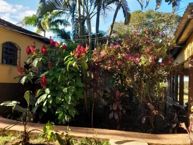 Sítio / Chácara para Venda em Brasília/DF Ponte Alta Norte Gama 6 Quartos