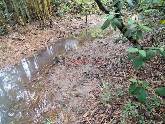 Sítio / Chácara para Venda em Brasília/DF Recanto das Emas 3 Quartos