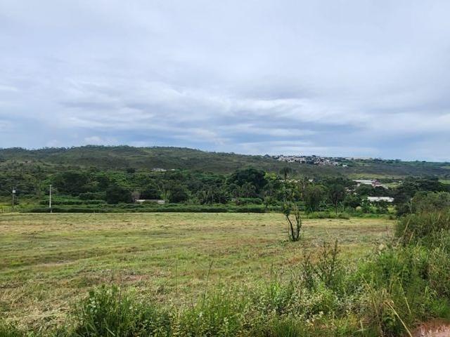 Sítio / Chácara para Venda em Brasília/DF Riacho Fundo I 1 Quartos