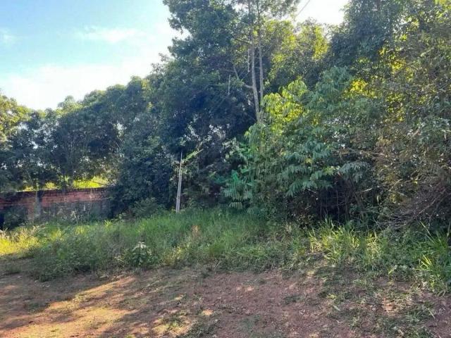 Sítio / Chácara para Venda em Brasília/DF Santa maria