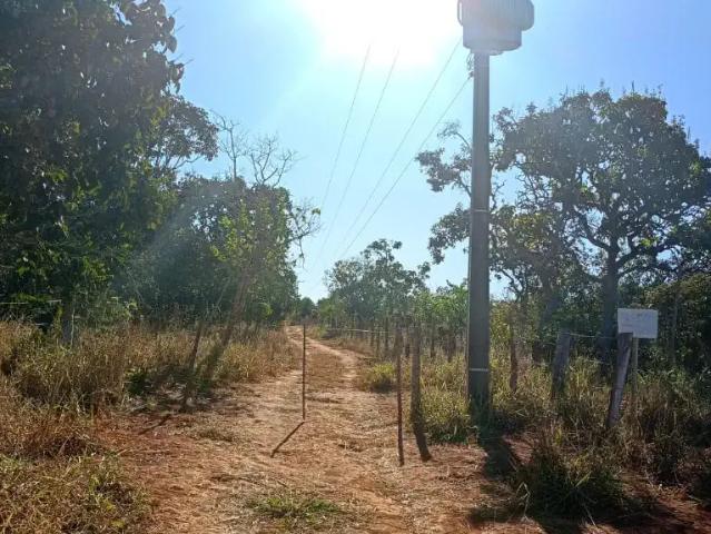 Sítio / Chácara para Venda em Brasília/DF Santa maria
