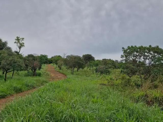 Sítio / Chácara para Venda em Brasília/DF Setor Habitacional Jardim Botânico 2 Quartos