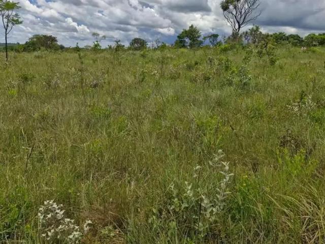 Sítio / Chácara para Venda em Brasília/DF Setor Habitacional Tororó Santa Maria