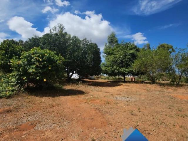 Sítio / Chácara para Venda em Brasília/DF Setor Mansões Itiquira Planaltina 4 Quartos