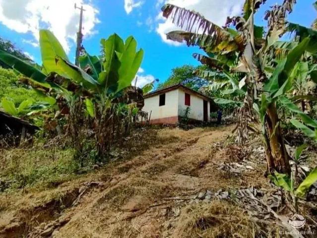 Sítio / Chácara para Venda em Brazópolis/MG Centro