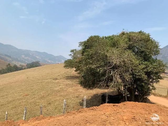 Sítio / Chácara para Venda em Brazópolis/MG Luminosa