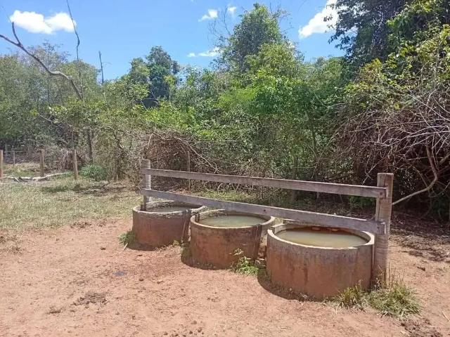 Sítio / Chácara para Venda em Brazabrantes/GO Área Rural de Brazabrantes 1 Quartos