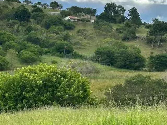 Sítio / Chácara para Venda em Brejões/BA Centro