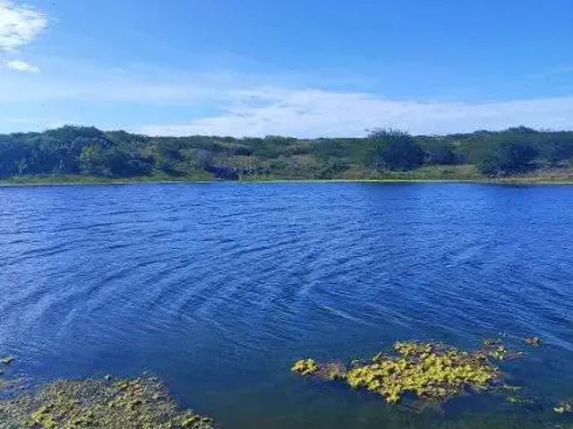 Sítio / Chácara para Venda em Brejinho/RN Centro 4 Quartos
