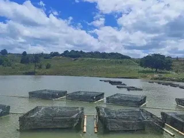 Sítio / Chácara para Venda em Brejinho/RN Centro 4 Quartos