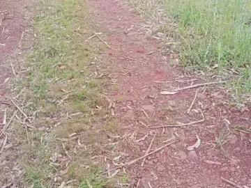Sítio / Chácara para Venda em Brochier/RS Zona Rural