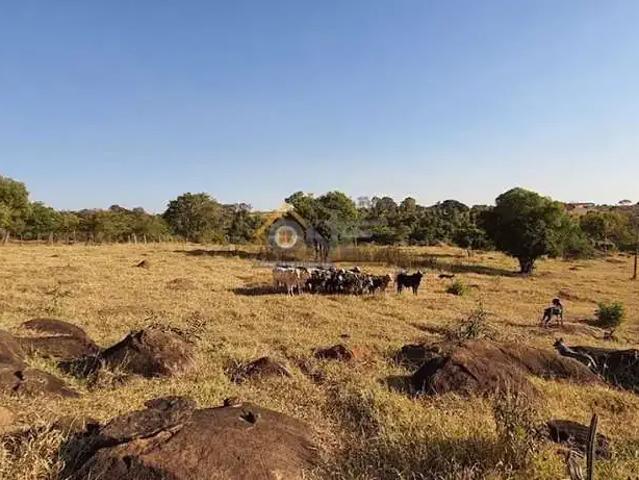 Sítio / Chácara para Venda em Brodowski/SP Vila Nossa Senhora das Graças