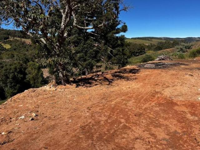 Terreno para Venda em Bueno Brandão