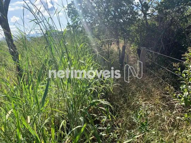 Sítio / Chácara para Venda em Buenópolis/MG Zona Rural