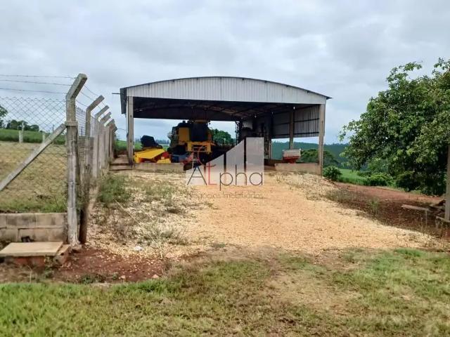 Sítio / Chácara para Venda em Buri/SP Centro 4 Quartos