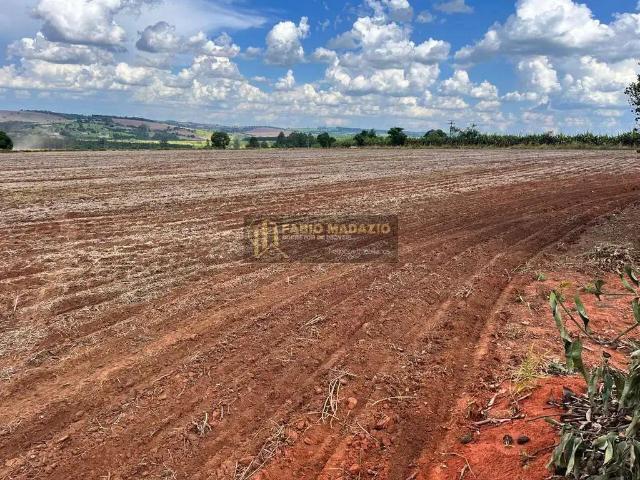 Sítio / Chácara para Venda em Buri/SP Zona Rural