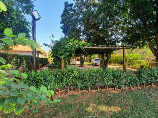 Sítio / Chácara para Venda em Buritama/SP Centro 4 Quartos