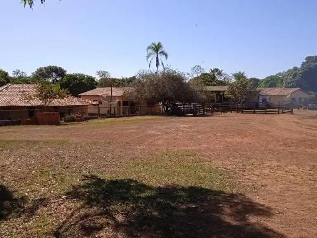Sítio / Chácara para Venda em Buritis/MG Centro
