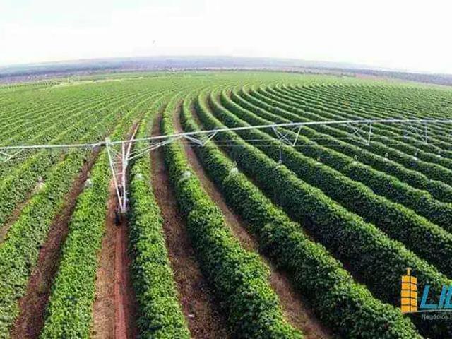 Sítio / Chácara para Venda em Buritizeiro/MG Área Rural de Buritizeiro